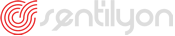 Sentilyon SEO Digital Agency